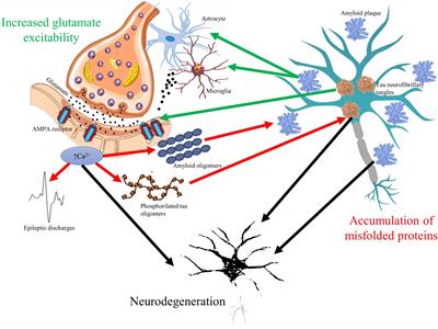 Inhibiting Epileptiform Activity in Cognitive Disorders: Possibilities for a Novel Therapeutic Approach